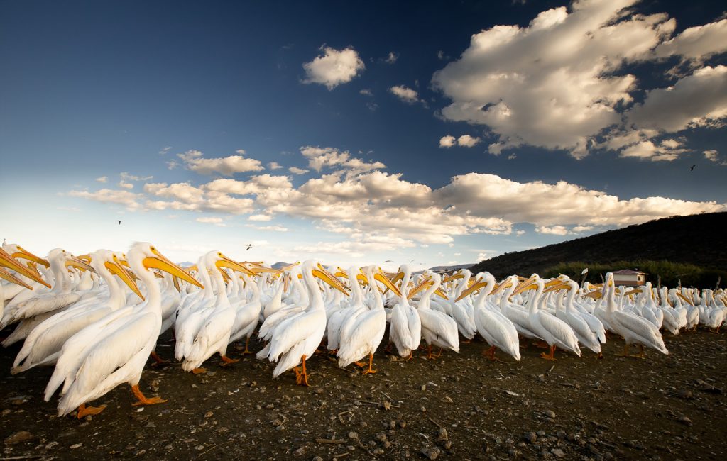 International Photography Awards – Alejandro Prieto